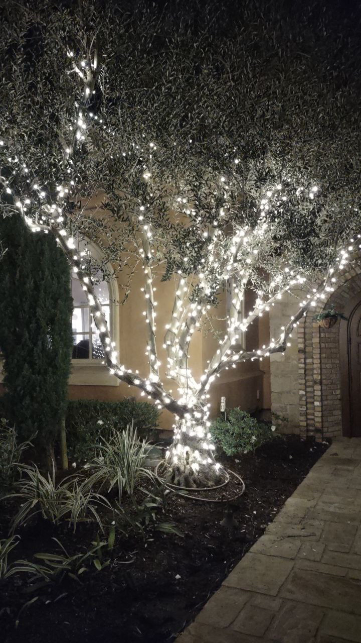 Tree wrapping lighting installation